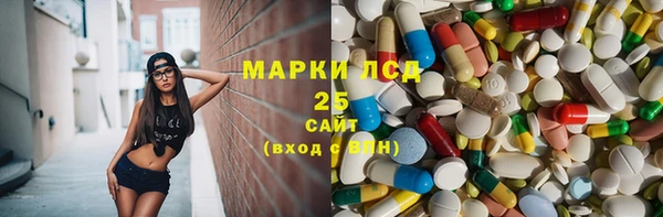 прущие грибы Белокуриха