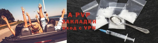 прущие грибы Белокуриха
