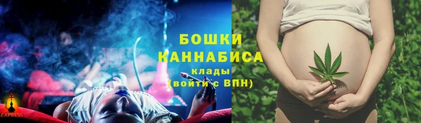 прущие грибы Белокуриха