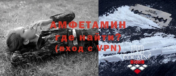 прущие грибы Белокуриха