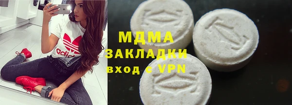 прущие грибы Белокуриха