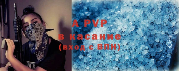 прущие грибы Белокуриха