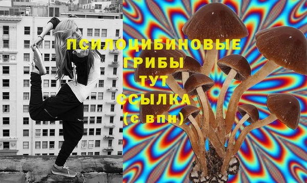 прущие грибы Белокуриха