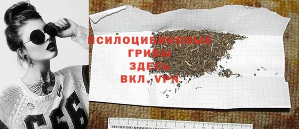 стаф Белоозёрский