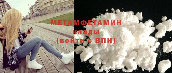 прущие грибы Белокуриха