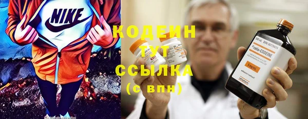 прущие грибы Белокуриха